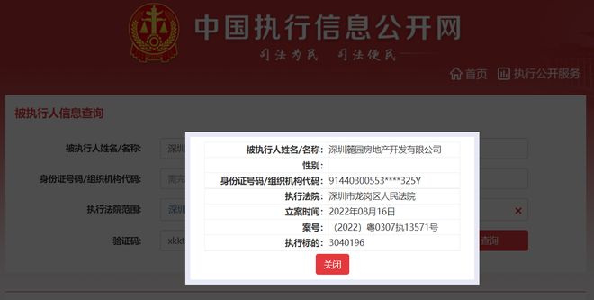 頤安集團旗下麓園地產被列為被執行人，執行標的304萬元，涉及投資興辦實業