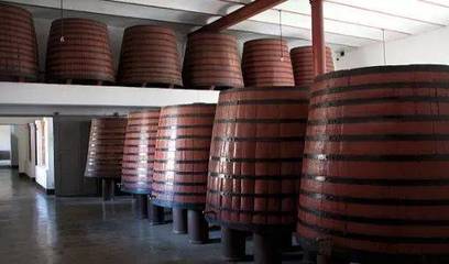 3月巴塞羅那出發兩日游合集(下)