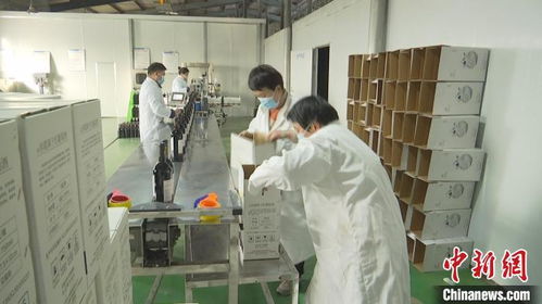 新疆昌吉葡萄酒企業(yè)忙 訂單 力爭(zhēng)實(shí)現(xiàn)首季 開(kāi)門紅