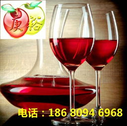 紅心火龍果紅酒 果酒