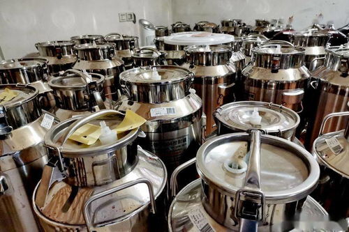 光谷水藍(lán)郡 武漢 楓情堡 原汁原味加拿大葡萄酒 手工釀成