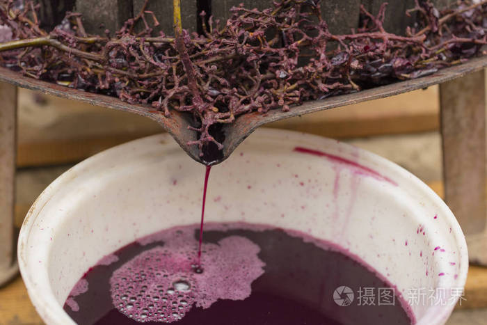 摩爾多瓦的葡萄酒生產. 葡萄加工的古老傳統. 榨汁機是用.