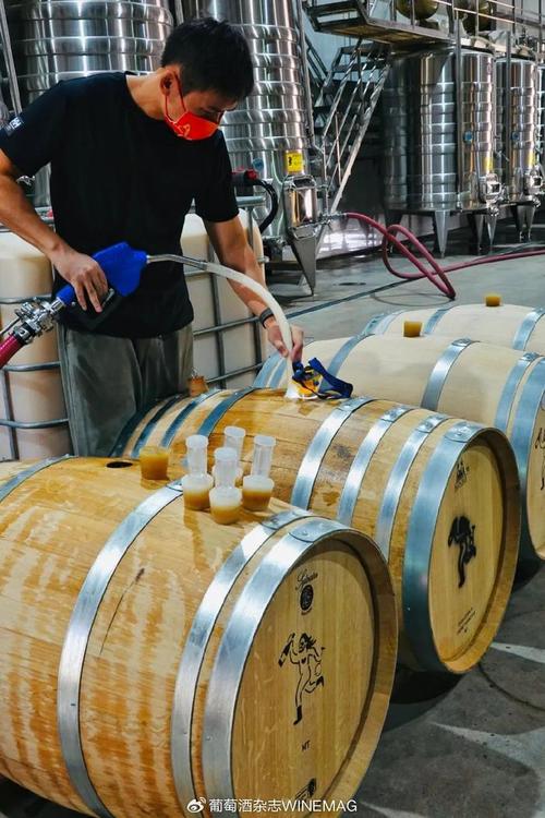 中國葡萄酒新勢力 釀松弛的酒，做最“野”的標(biāo)